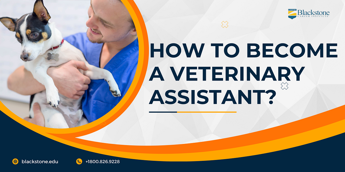 How to a Veterinary Assistant? by Blackstone Career Institute