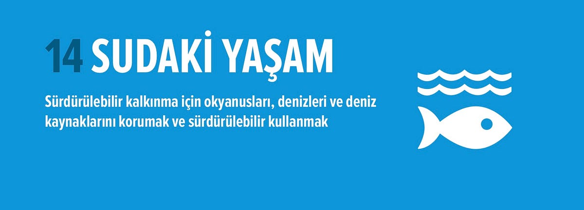 Sudaki Ya am Okyanus Ve Denizler D nyay Insanlar By Ezgisu sudaki-ya-am-okyanus-ve-denizler-d-nyay-insanlar-by-ezgisu