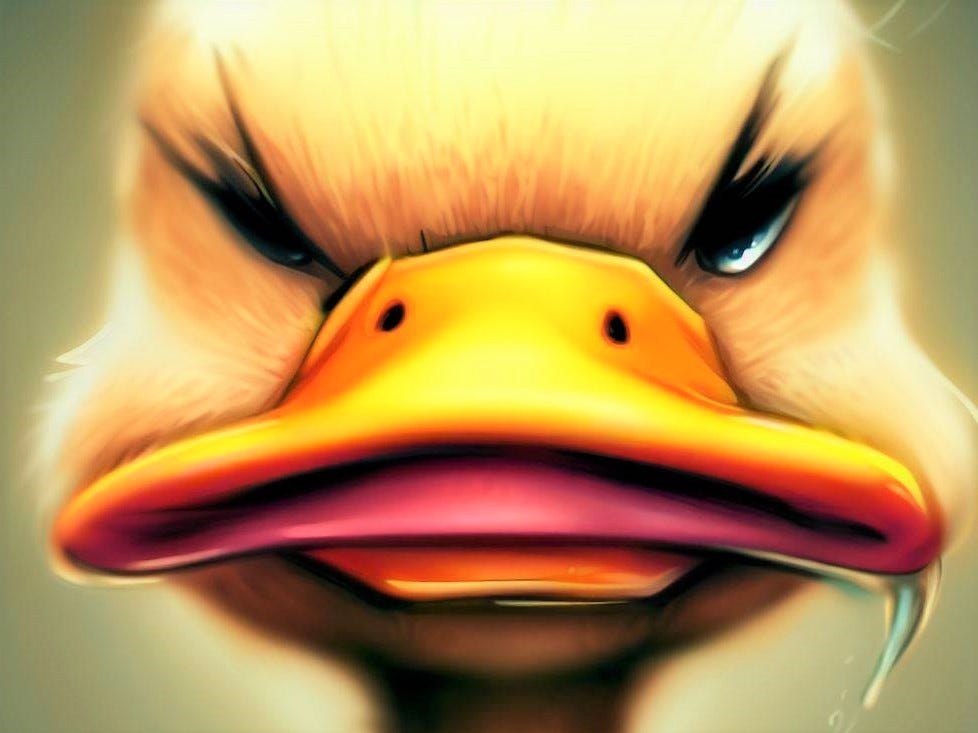 Duck You! You Ducking Duck