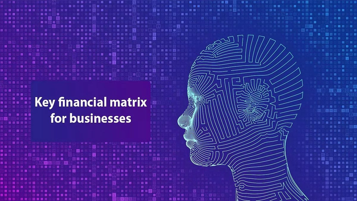 Key financial matrix for businesses | by Meru Accounting India | Medium