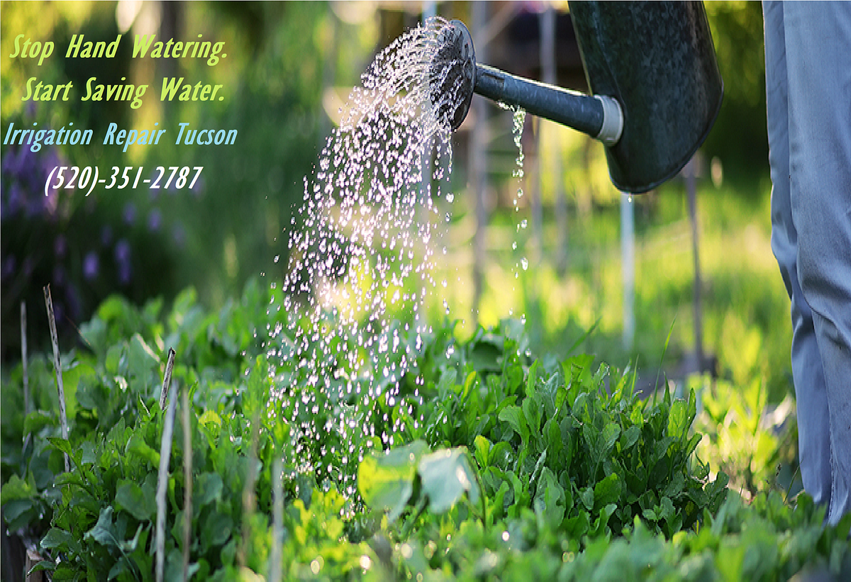 Irrigation Repair Tucson AZ Eric Jones Medium