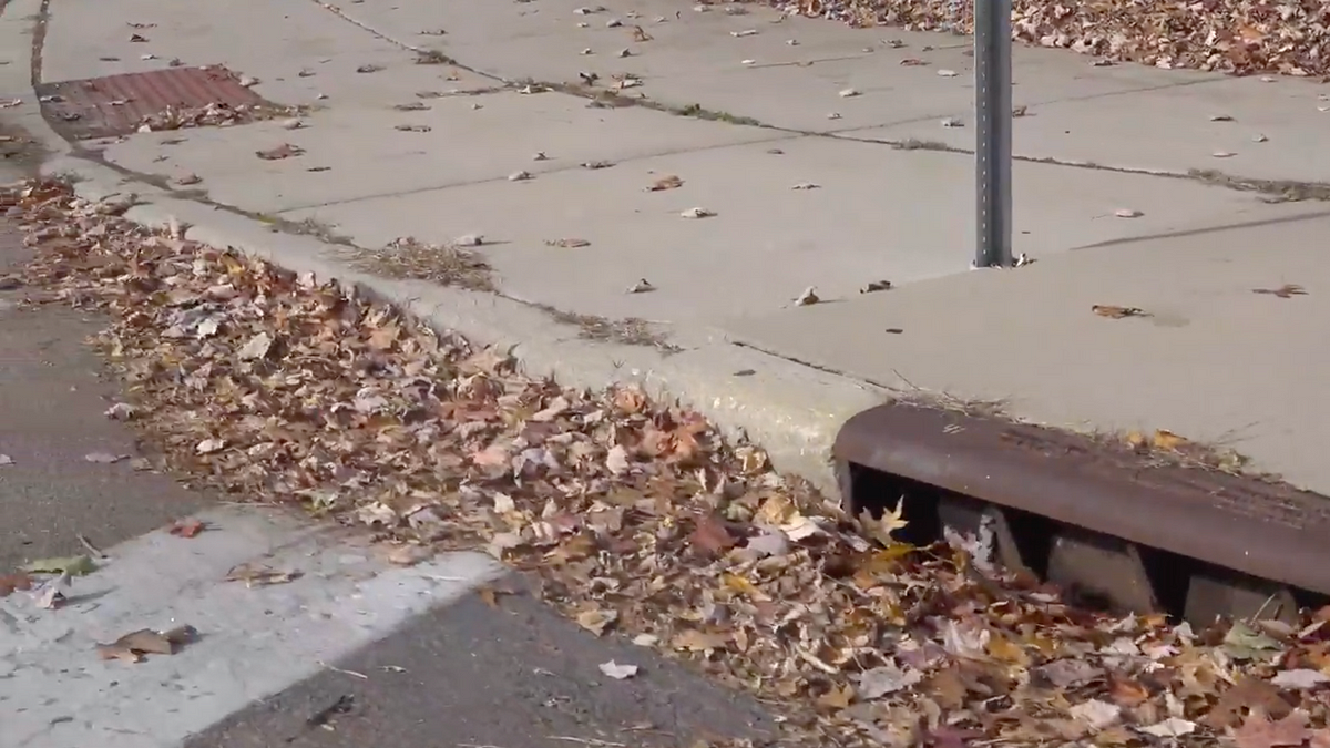 Toledo Leaf Collection Program Begins Nov. 2 by Jaden Jefferson Medium