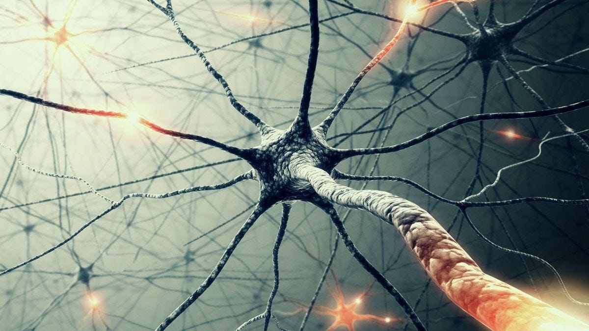 Building a Simple Neural Network — TensorFlow for Hackers (Part II) | by Venelin Valkov | Medium