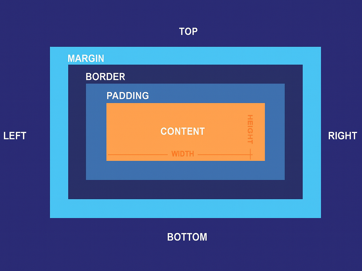 CSS Box Model Explained with Examples | Padding, Margin, Border & Box ...