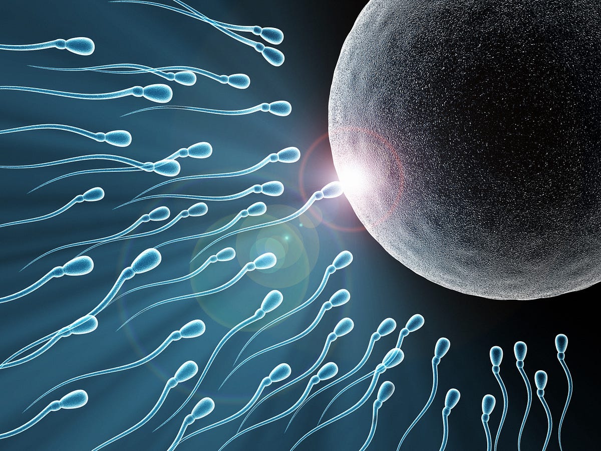 The Egg Doesnt Swim to the Sperm by MJ Medium pic