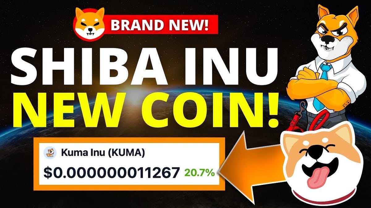 THE NEXT SHIBA INU COIN KUMA INU HUGE 1000X POTENTIAL! by LUX FIAT