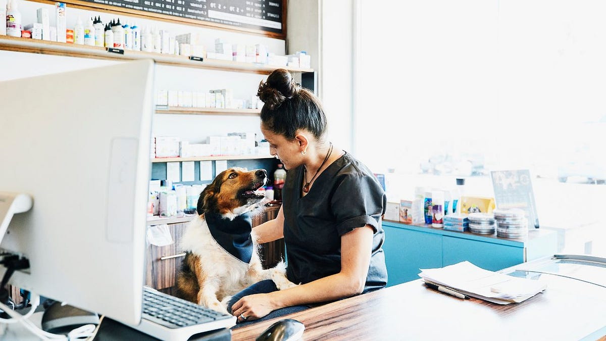 How to Start a Pet Supply Store Business and Business Plan Template