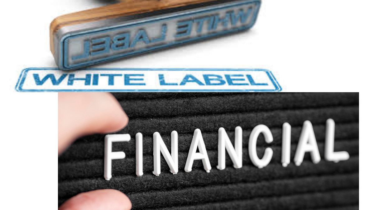 The Power of Customized Financial Services Through White Label ...