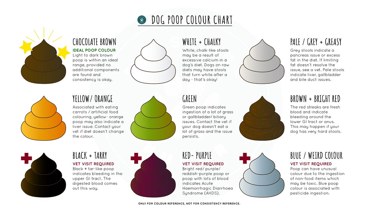 Dog Poop Color Chart, What's Normal?