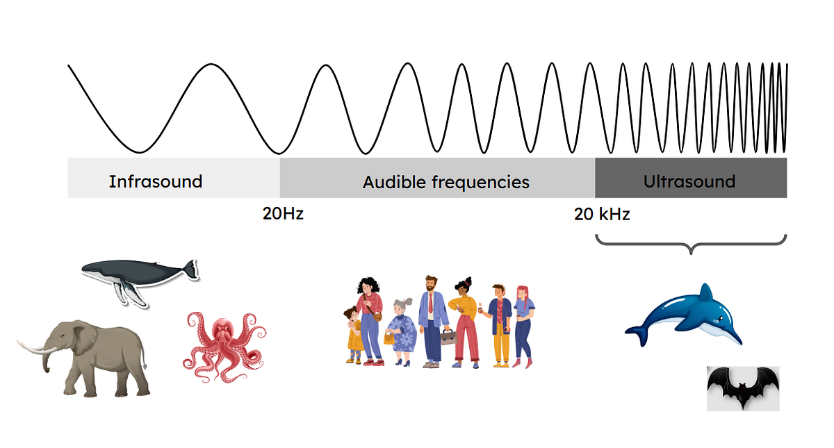 Understanding Ultrasonic Sensor. What is an ultrasonic sensor? by