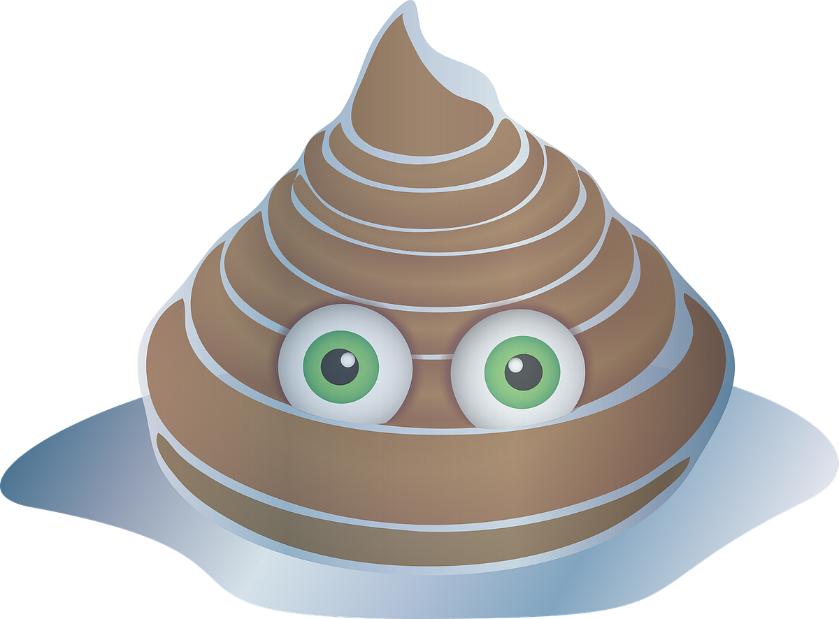 How to Polish a Turd. Debunking This Myth Once and for All by Calum