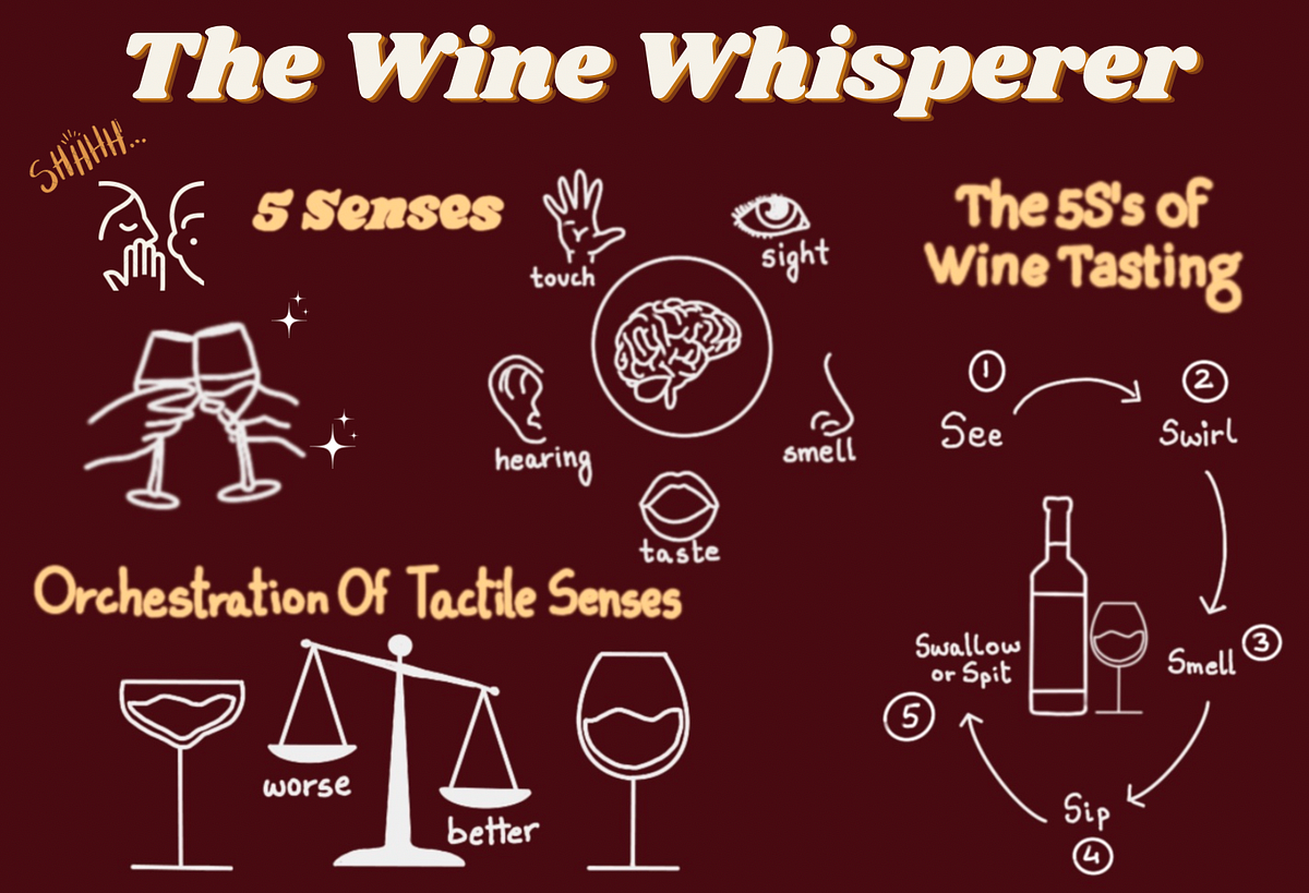 The Wine Whisperer How Wine Affects the Brain and Behavior by Ashoka