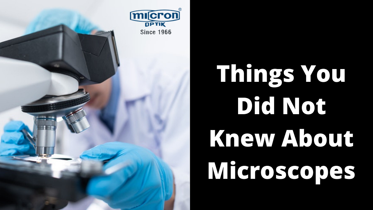 Fun Facts About Microscopes That You Didn’t Know Before Microscopes