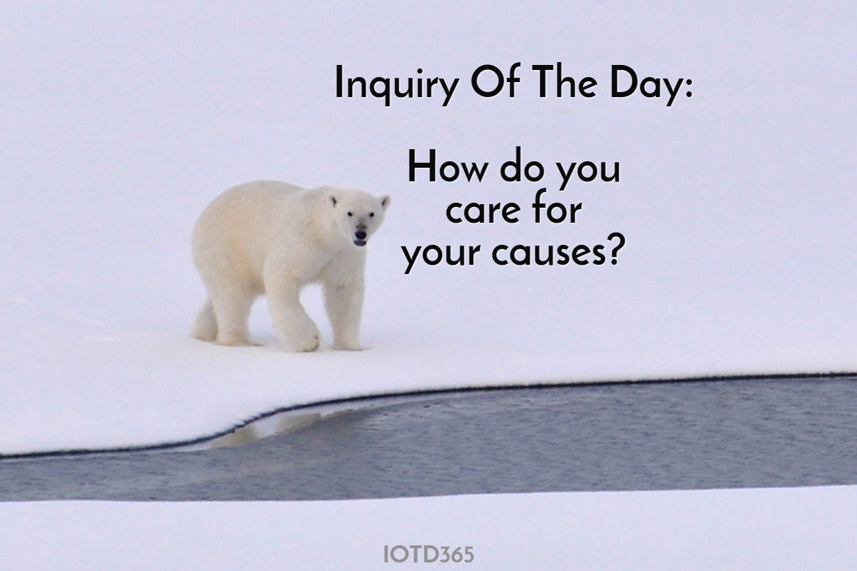 How do you care for your causes?. Regardless of your station in life