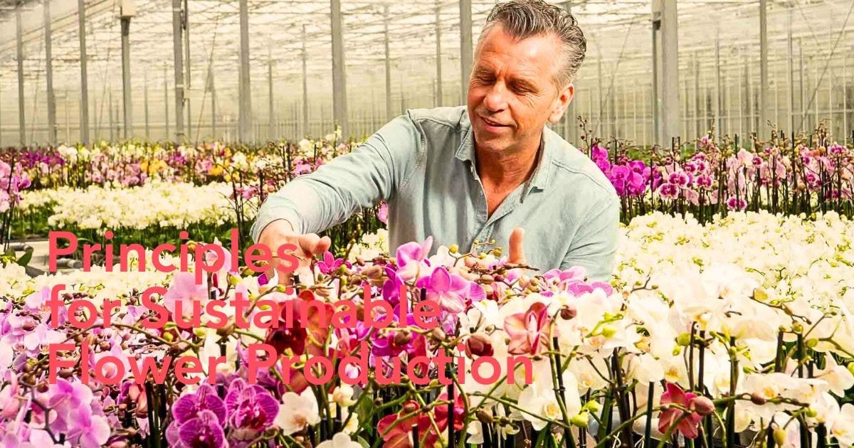 Why Good Agricultural Practices Are an Imperative in the Floriculture Industry