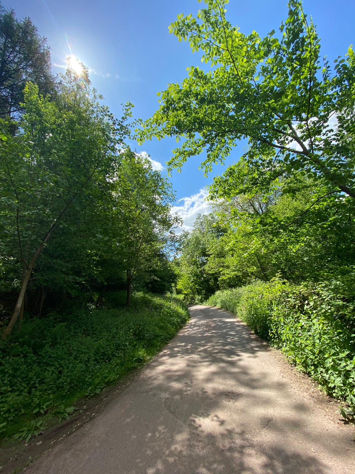 get-that-walk-in-every-day-to-free-your-mind-by-emily-porter-mar