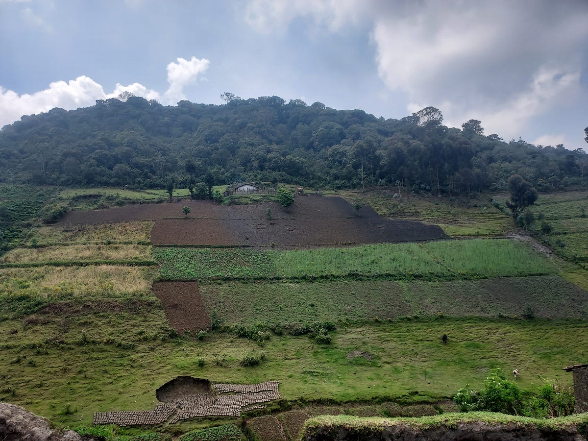 Mapping What People Value in Western Rwanda’s Restoration Landscapes ...