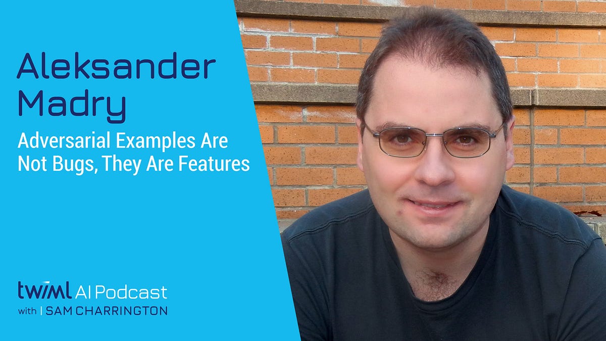adversarial-examples-are-not-bugs-they-are-features-with-aleksander