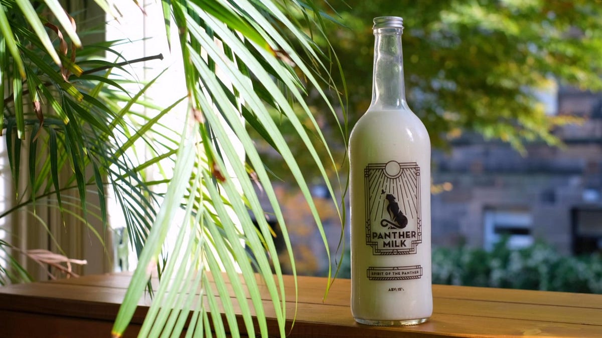 How Much Money Did Panther Milk Make? Panther Milk’s Net Worth! | by