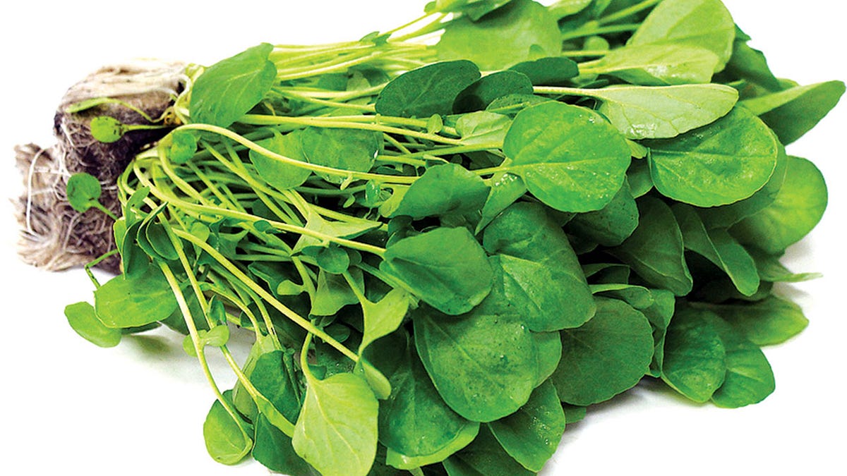 Vegetable visual data 8