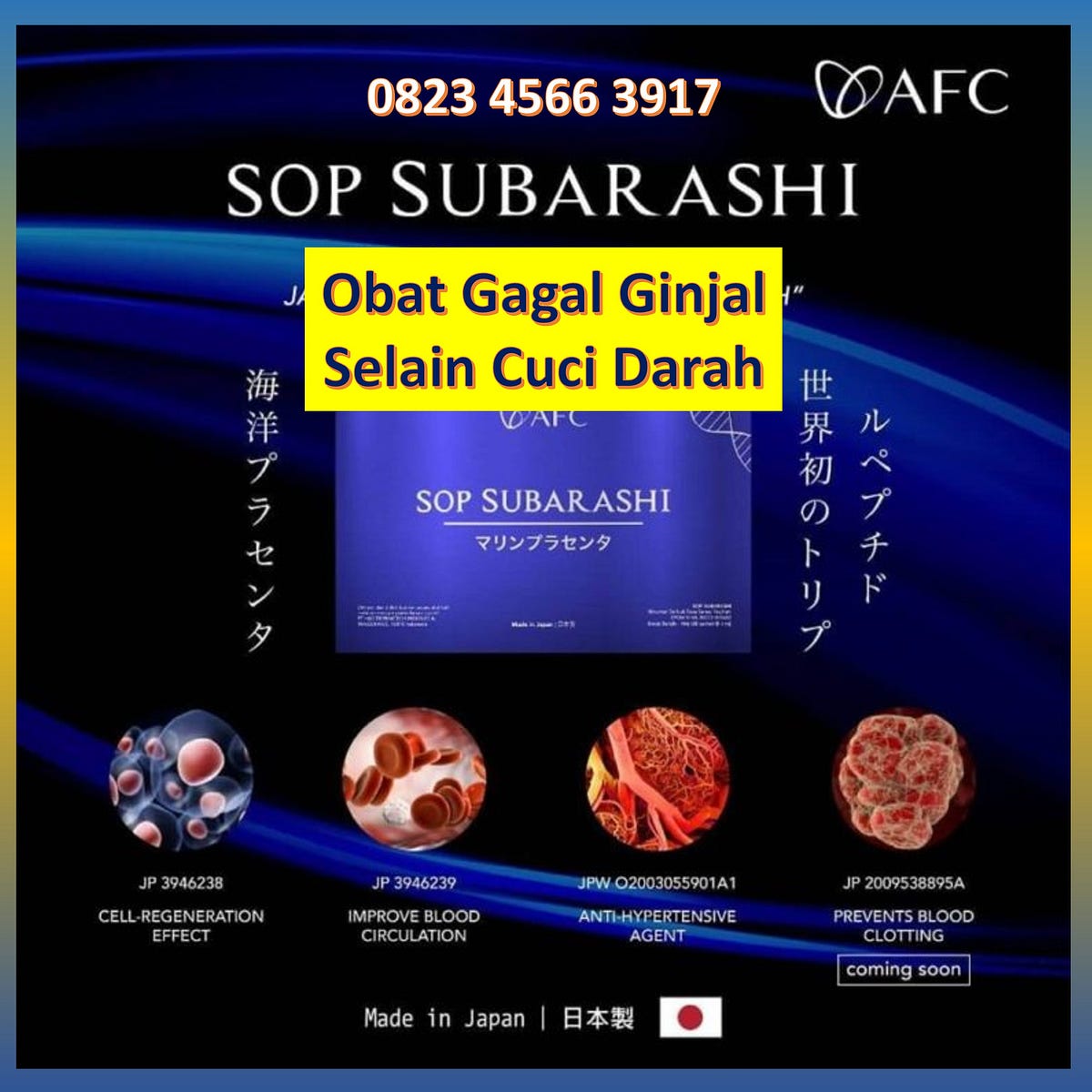 Obat Gagal Ginjal Selain Cuci Darah 0823 4566 3917 | by iwayani Store