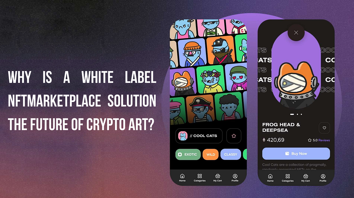 Why is a White Label NFT Marketplace Solution the Future of Crypto Art