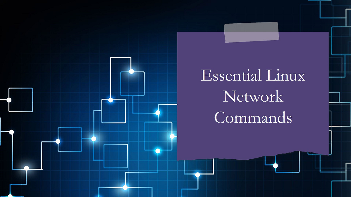 Essential Network Commands on Kali Linux: A Comprehensive Guide | by ...