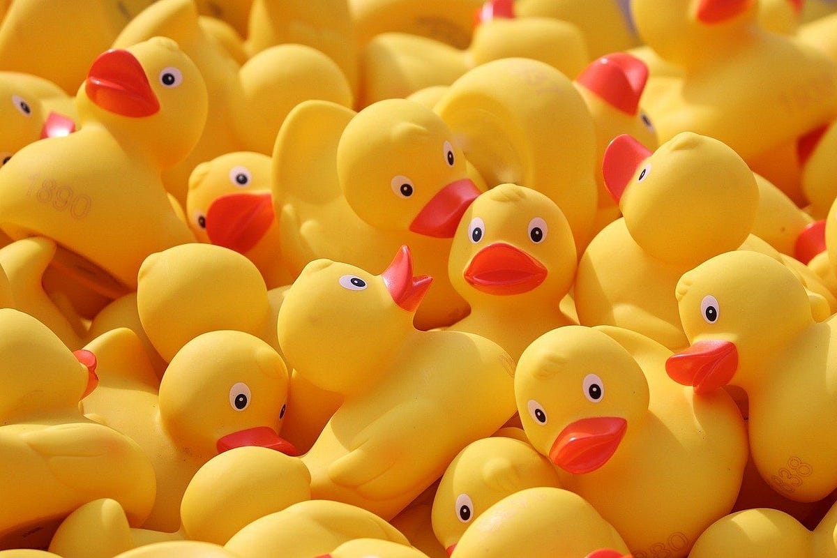 Did You Talk To Your Rubber Duck 🦆 Yet? | by Arvind Jaiswal | Medium