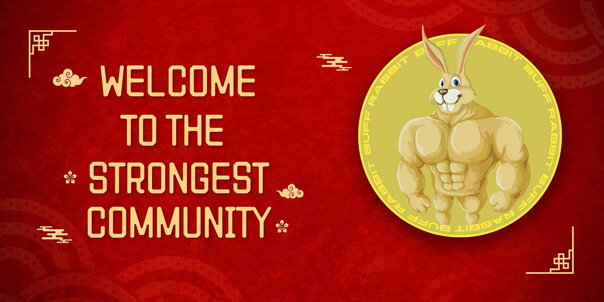 Buff Rabbit. Looking for a new and exciting… by BUFF RABBIT BSC