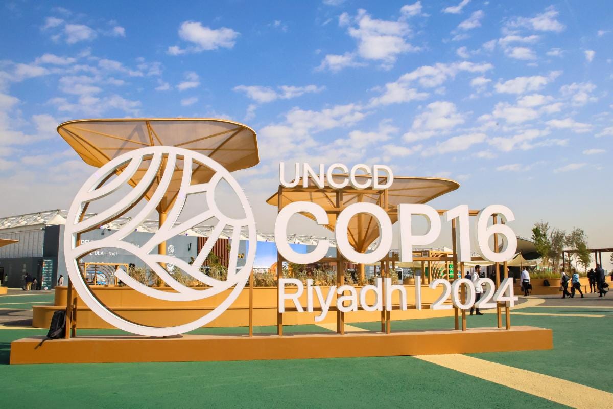 Land Restoration in Focus: Key Takeaways from UNCCD COP16