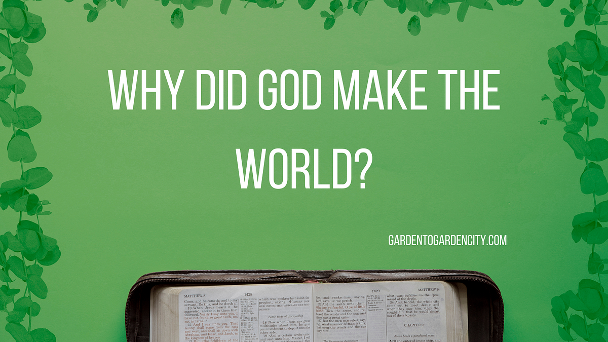 Why Did God Create The World Why Did God Create The World This Is A… By Chris Pretorius