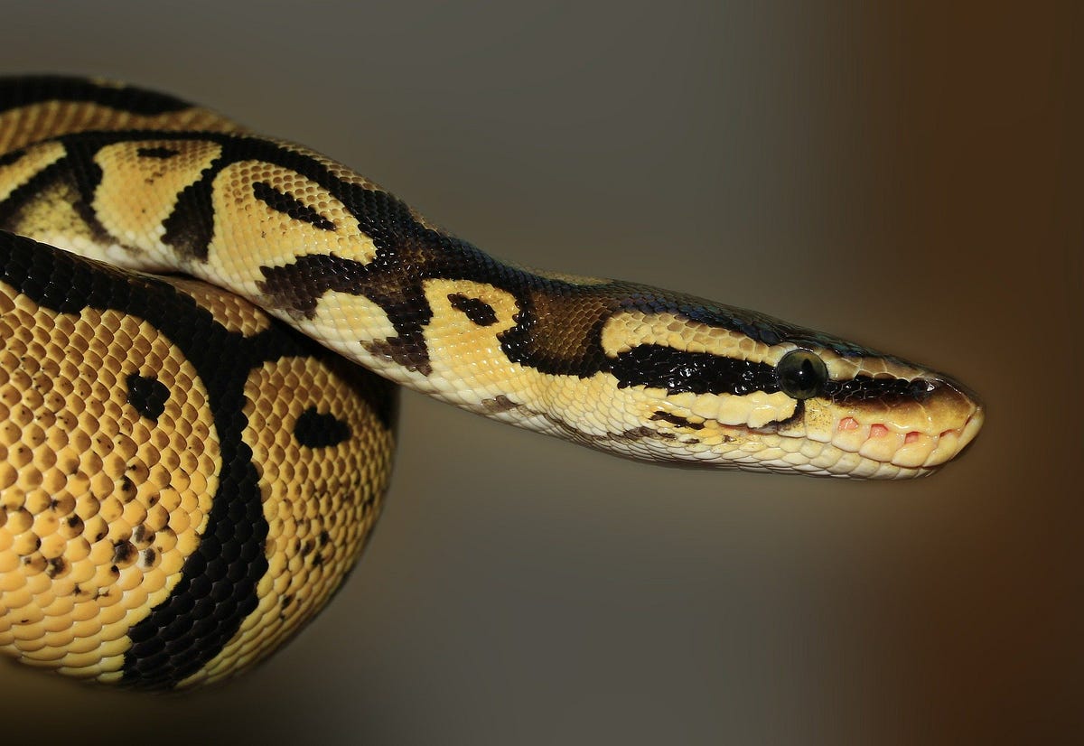 Python: Three Hidden Ways to Create Potential Bugs with Mutable Data ...