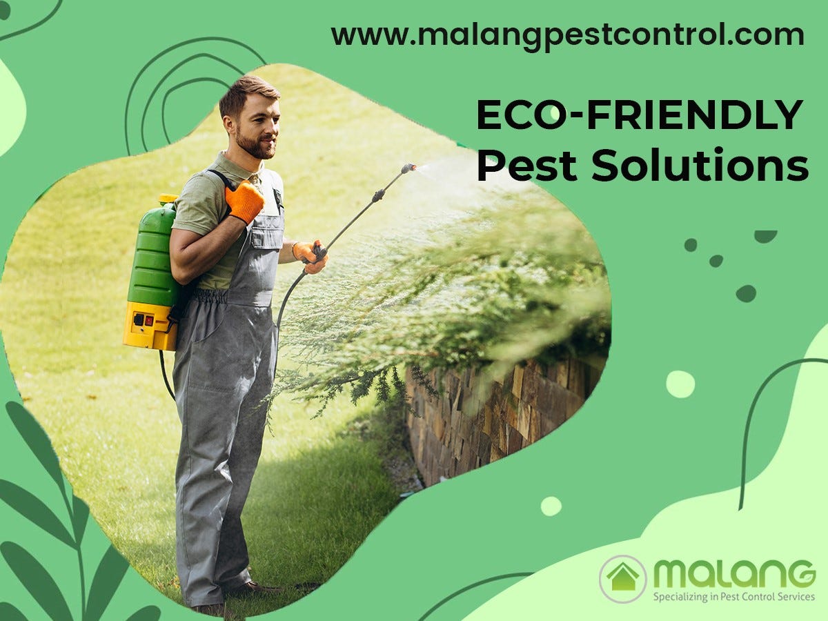 EcoFriendly Pest Solutions Pest Control Malang Medium