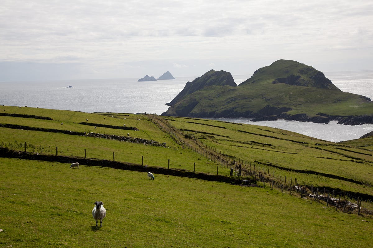 Wild Atlantic Way to Work — The case for an ambitious inter-agency