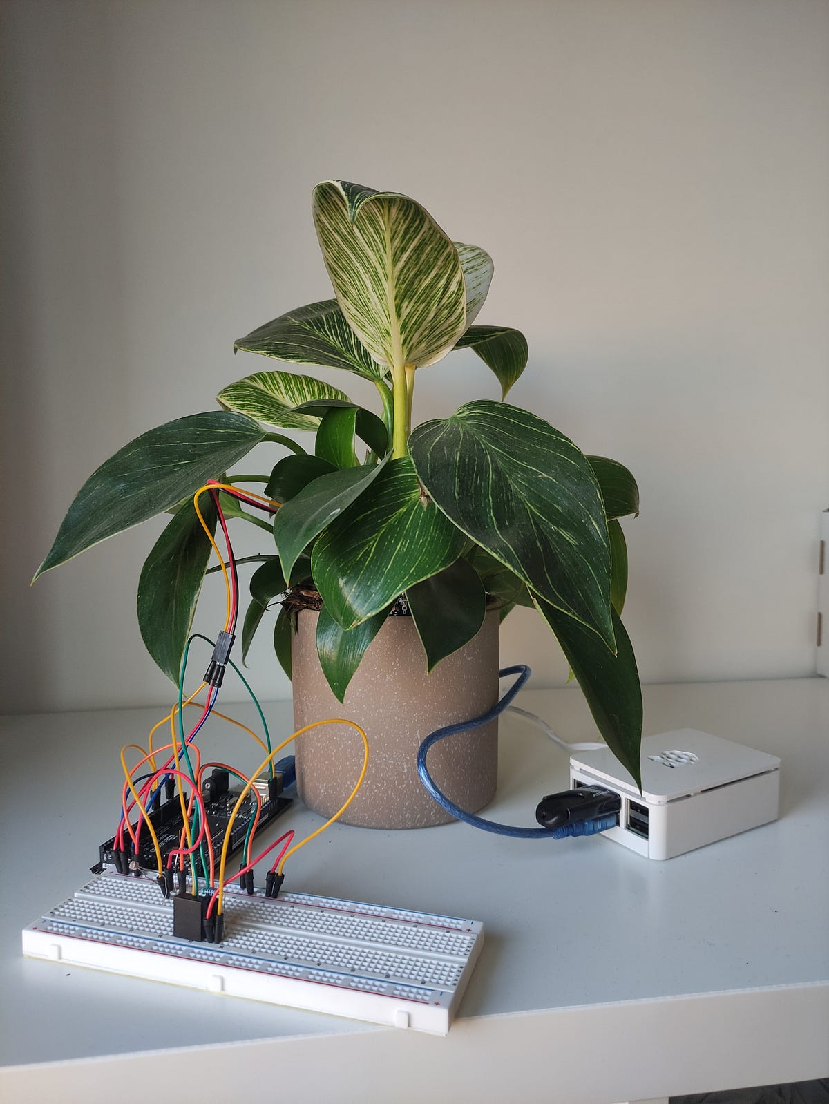 Making a plant monitoring system with Arduino and Raspberry Pi | by ...