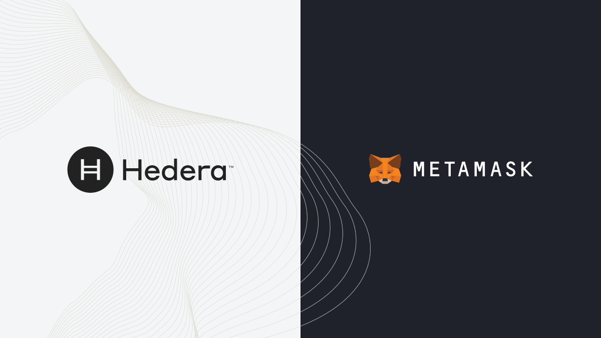 Hedera Token Service Added to MetaMask Snap | Medium