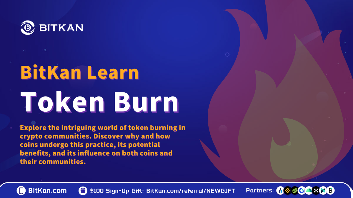 What is Token Burn — BitKan Learn | by BitKan | BitKan Hub | Medium