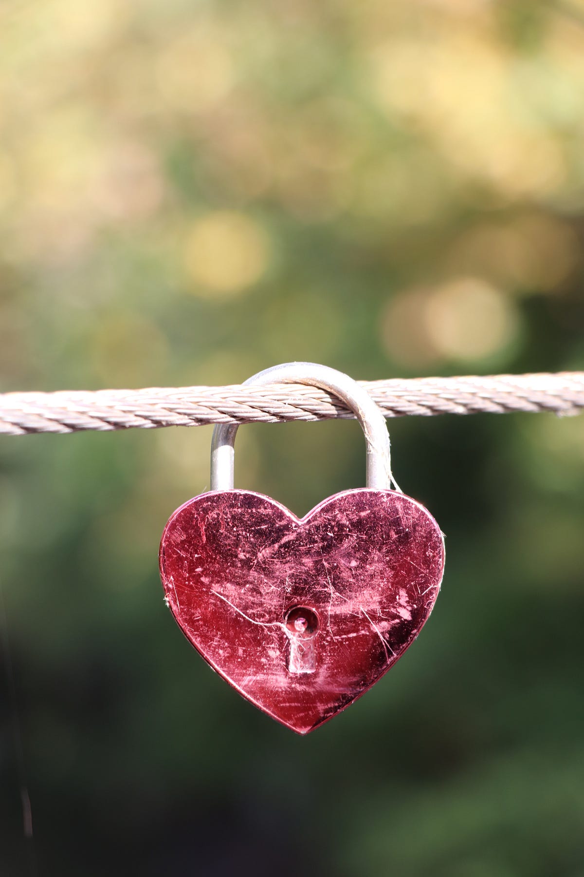 Signs You'Re Falling Victim To The Coattail Effect - 5dincd1