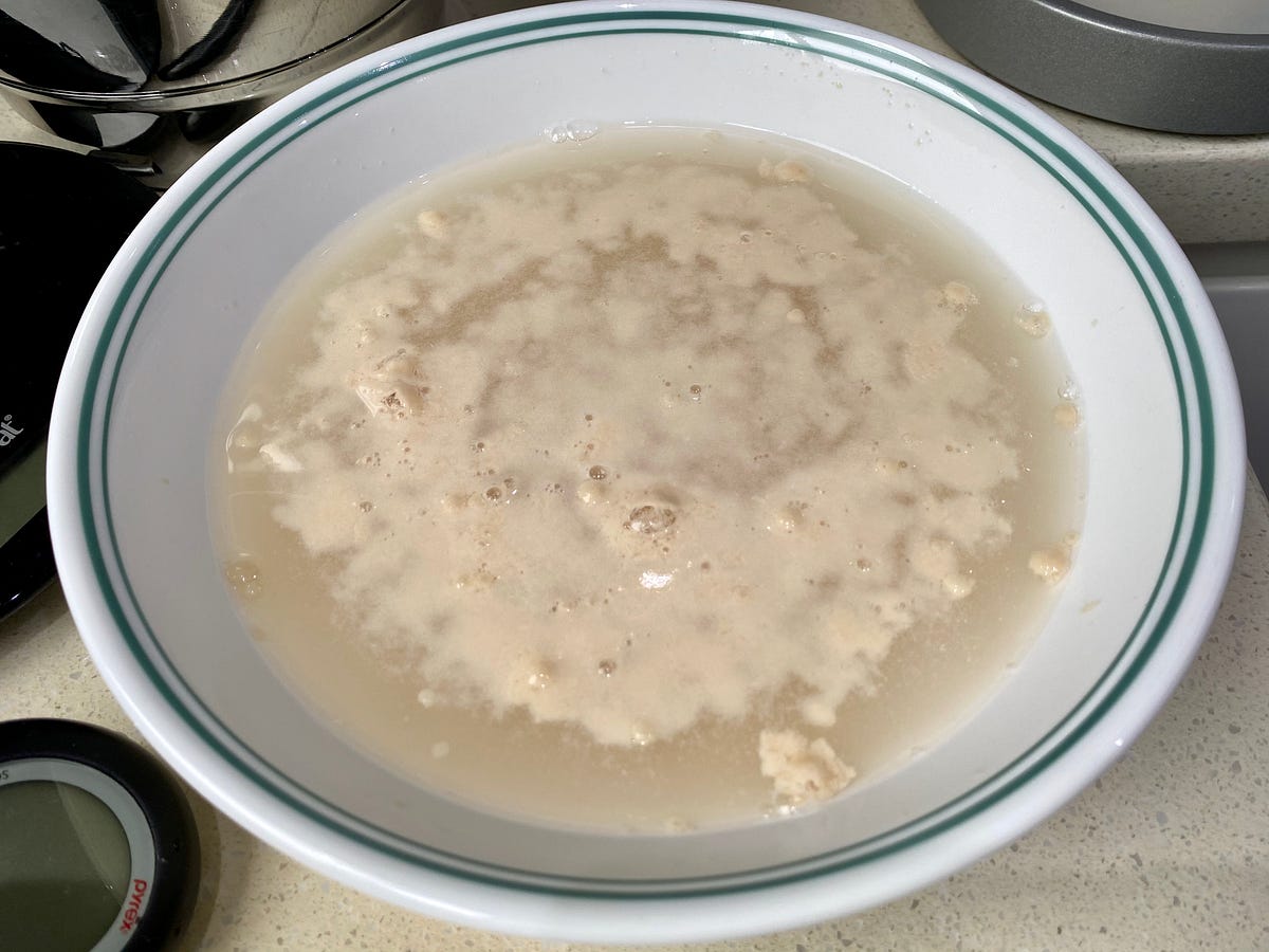 Bloomin’ Yeast!. Don’t you just hate it when you prepare… by Maliha