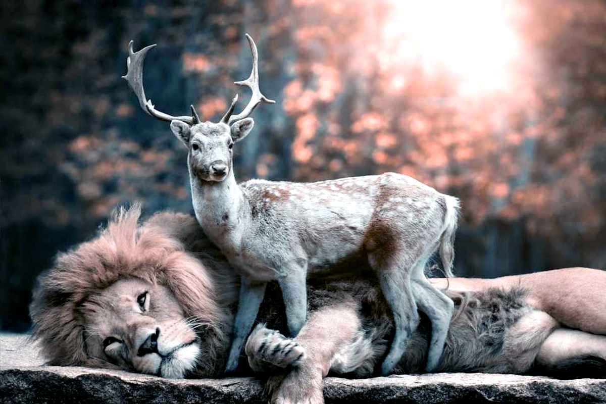Jagd