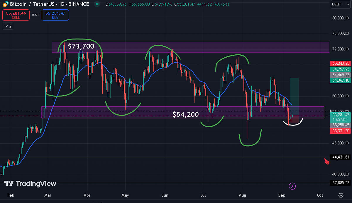 This Chart Changes Everything for Bitcoin | by Jonas (Crypto Big Stories) |  InsiderFinance Wire