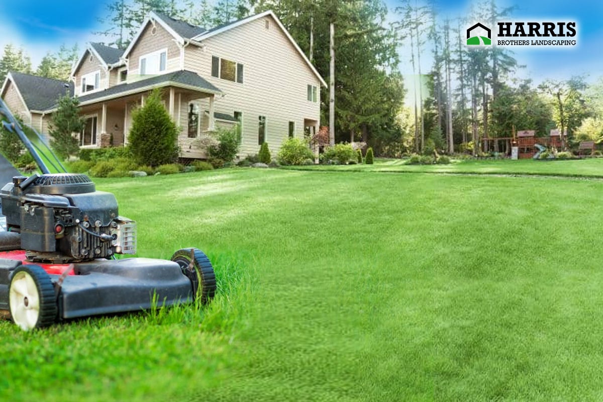 Lush Green Lawn: Discover Top-Notch Lawn Care Near Hammonton | by Harris Brothers Landscaping | Sep, 2023 | Medium