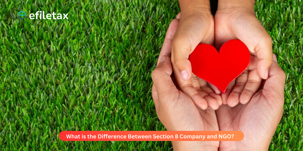 What is the Difference Between Section 8 Company and NGO? by Efiletax