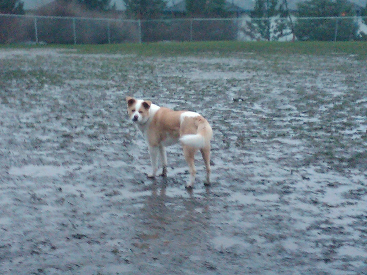 Mud, Glorious Mud. Six Word Photo Story Challenge: “Water” | by Erie ...