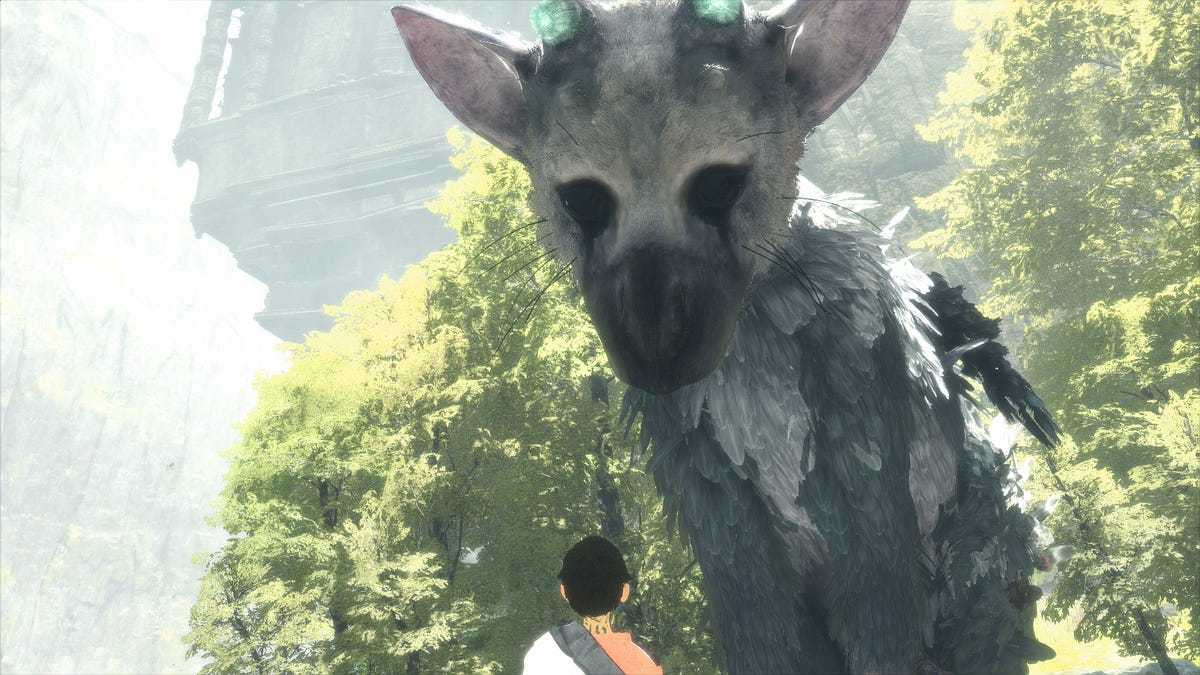 After seven years, The Last Guardian looks like it did in 2009 - The Verge