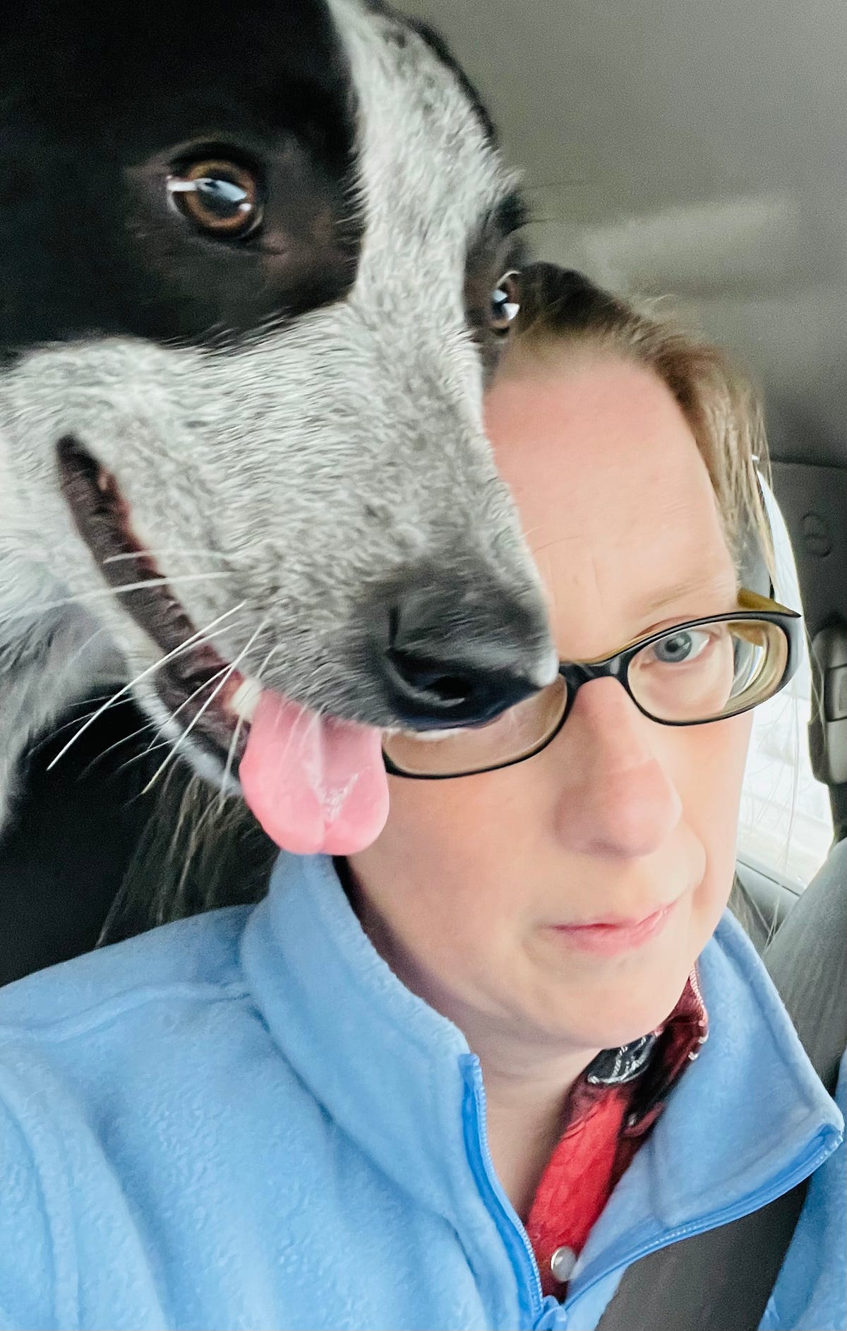 About Me — Billy Jean. A Glorious Disaster and Her Dog | by Billy Jean ... About Me — Billy Jean. A Glorious Disaster and Her Dog | by Billy Jean ...