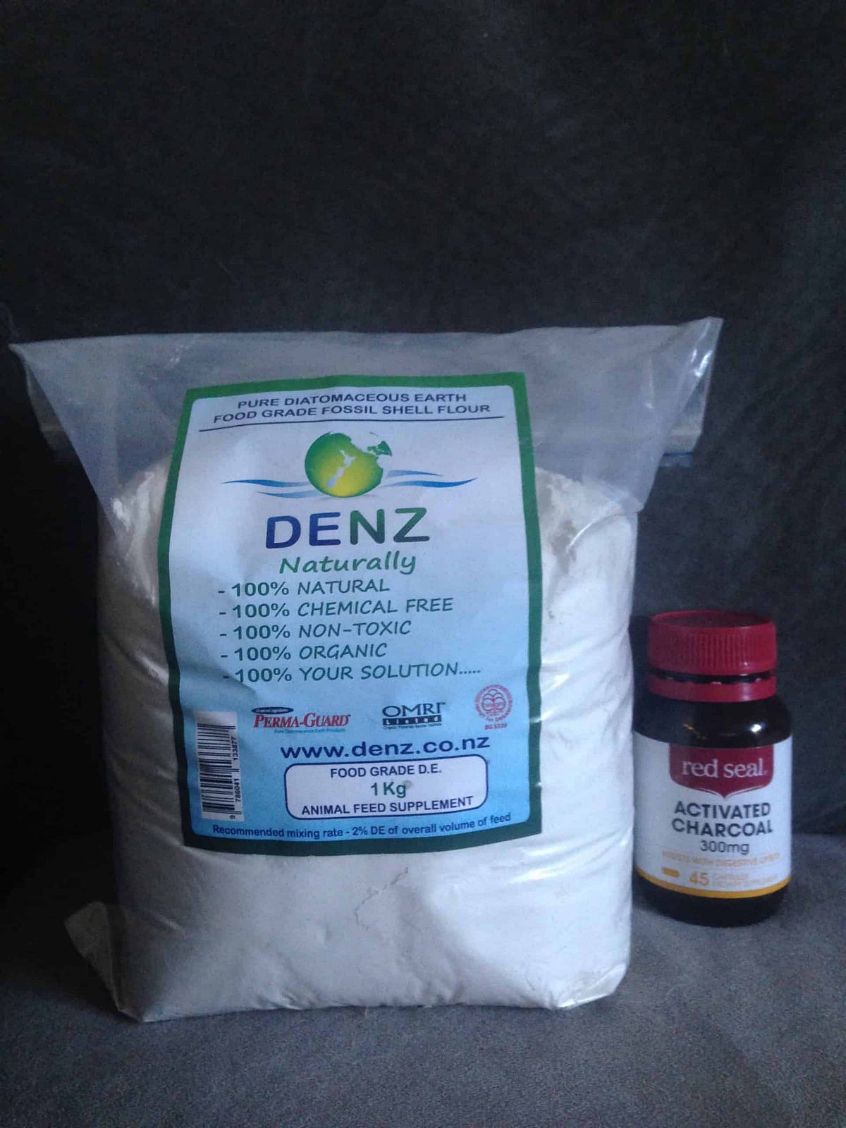 Health Benefits of Taking Diatomaceous Earth and Activated Charcoal