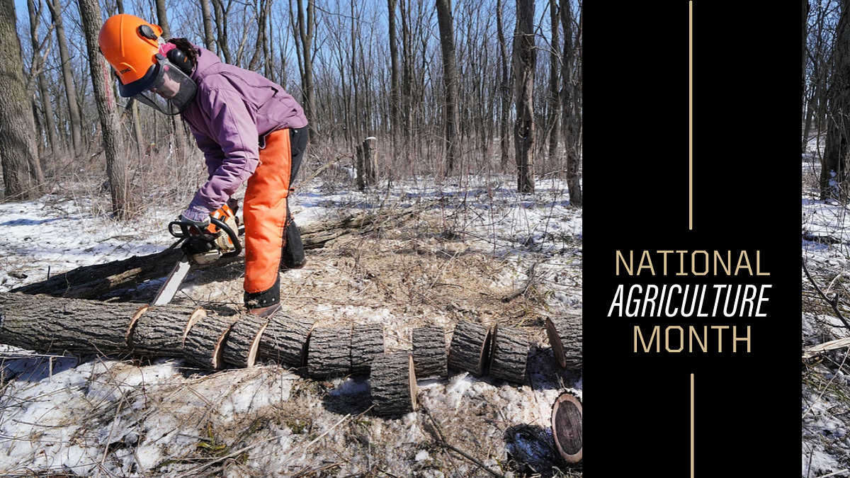 Celebrating National Agriculture Month agriculture in the news by
