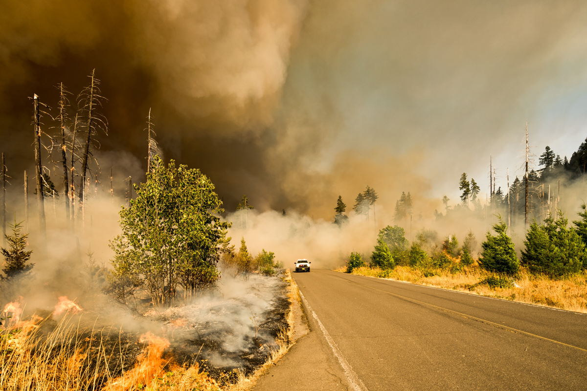 Planning for natural disasters: how simulation helps reduce their ...