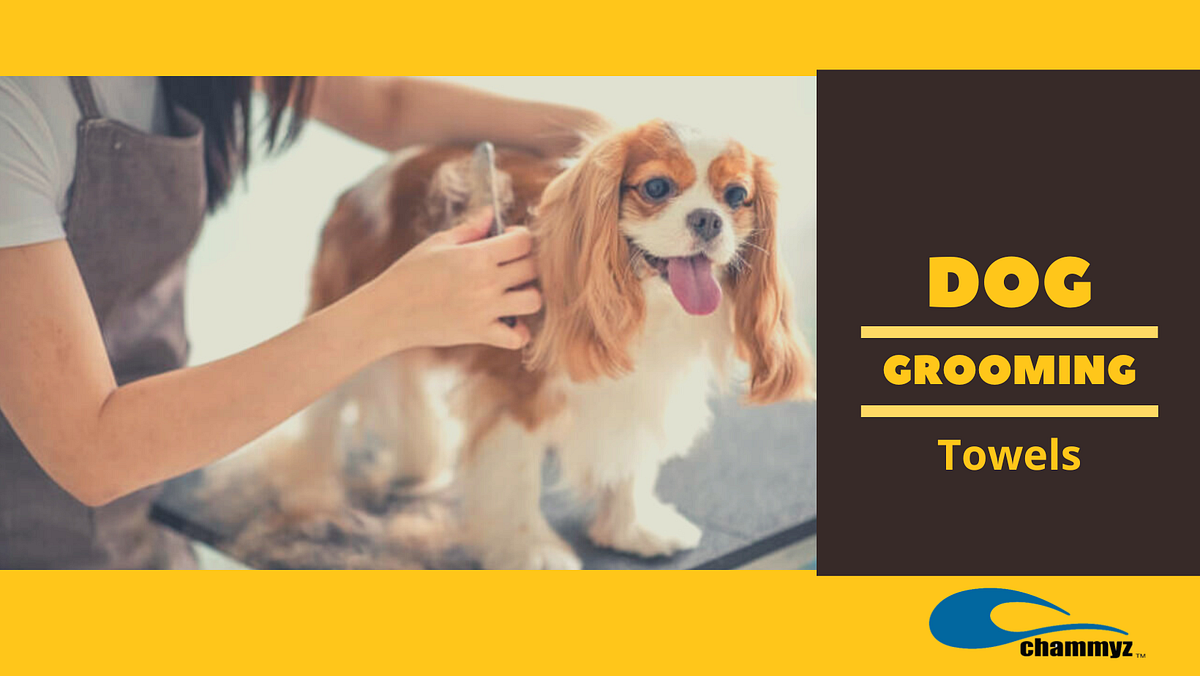 Best Towels for Pampered Dog Grooming by Jody munro Medium